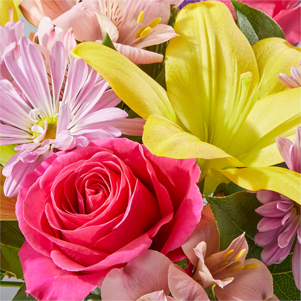 Sprinkles Bouquet –  The Owls Nest Florist, Clover SC