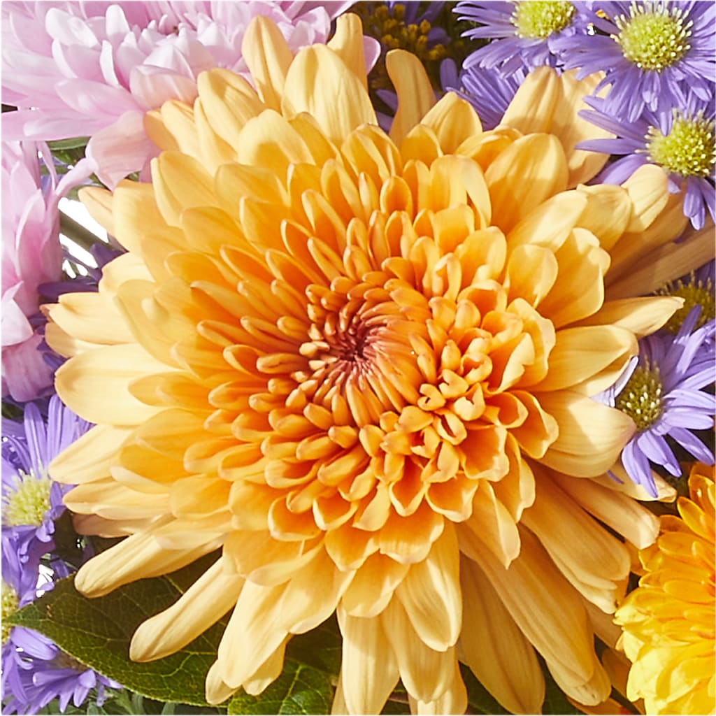 Countryside Bouquet –  The Owls Nest Florist, Clover SC