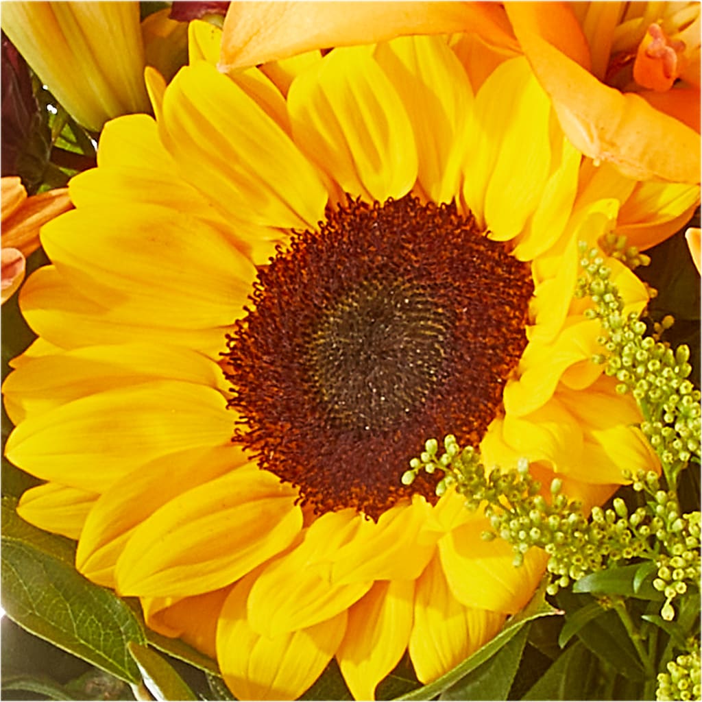 Seasons Change Bouquet –  The Owls Nest Florist, Clover SC