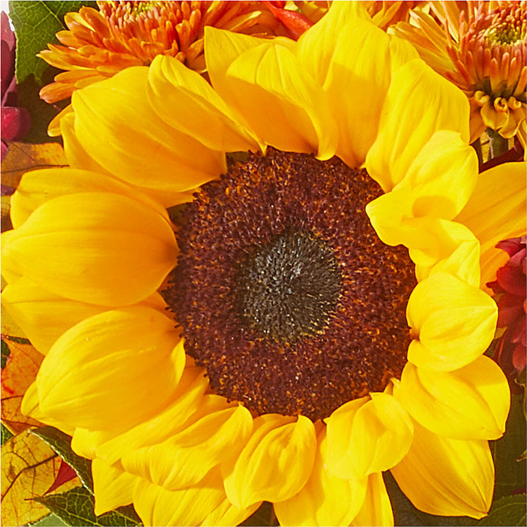 Sunny Side Bouquet –  The Owls Nest Florist, Clover SC