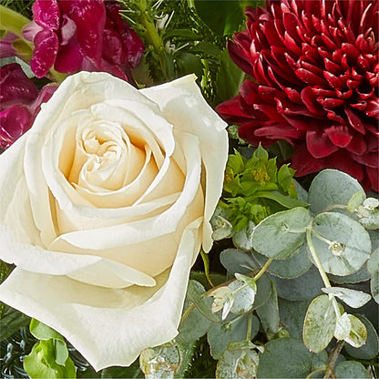 Cranberry Fizz Bouquet –  The Owls Nest Florist, Clover SC