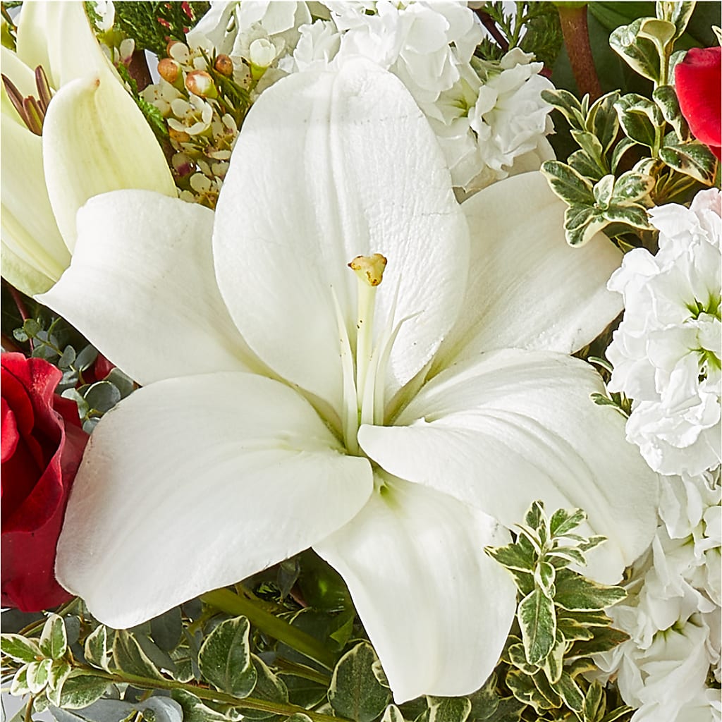 Twinkle Lights Bouquet –  The Owls Nest Florist, Clover SC