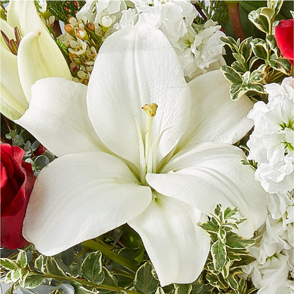 Twinkle Lights Bouquet –  The Owls Nest Florist, Clover SC