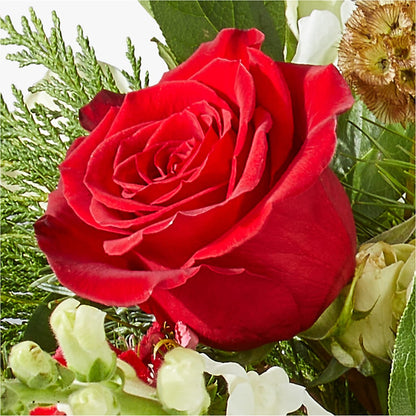 Deck the Halls Bouquet –  The Owls Nest Florist, Clover SC
