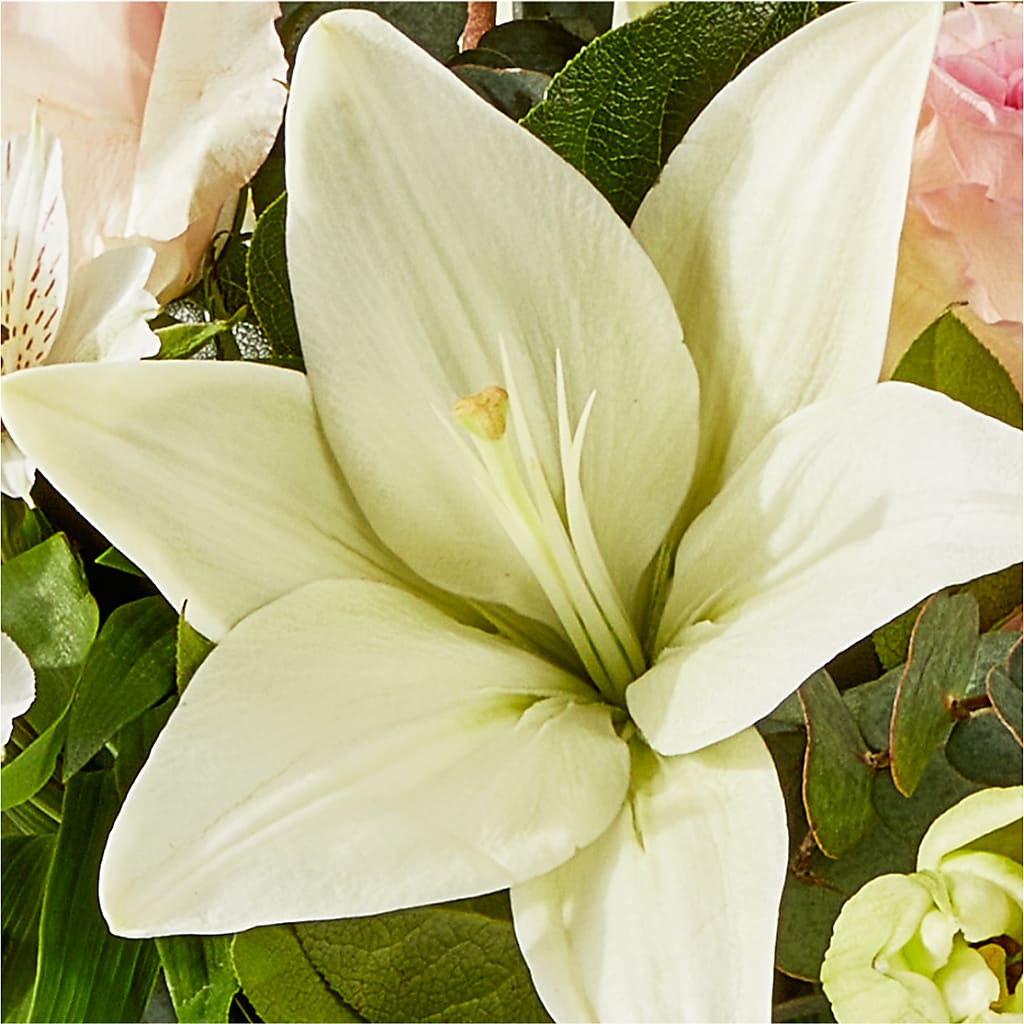 Ballet Slippers Bouquet –  The Owls Nest Florist, Clover SC