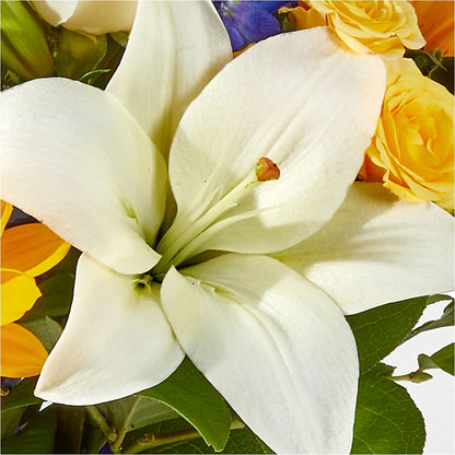Wonderfully Sunny Bouquet –  The Owls Nest Florist, Clover SC