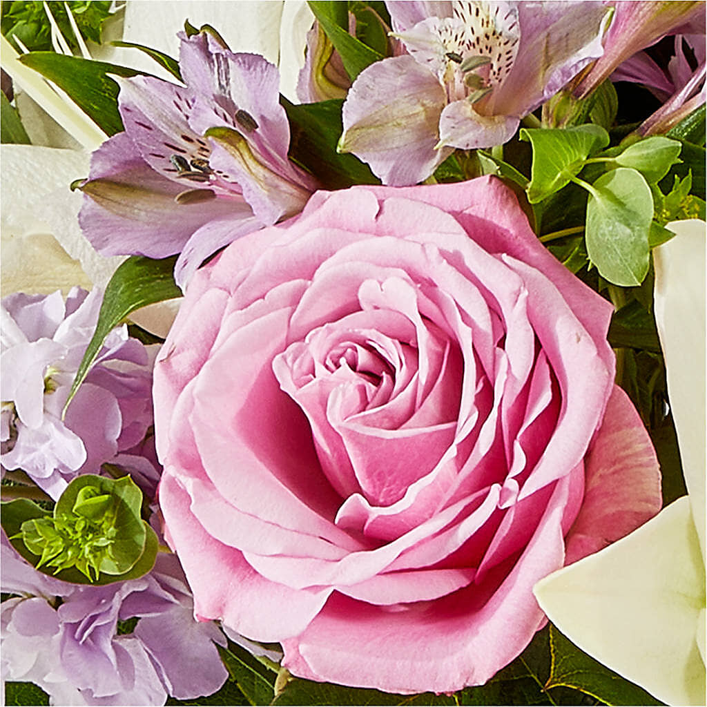 Daydreamer Bouquet –  The Owls Nest Florist, Clover SC