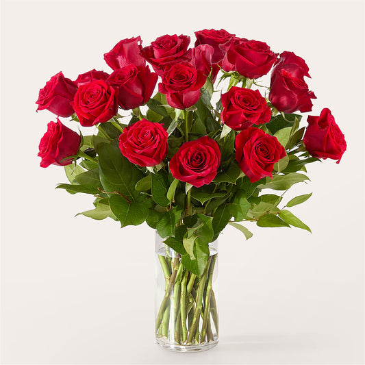 The One Red Rose Bouquet –  The Owls Nest Florist, Clover SC
