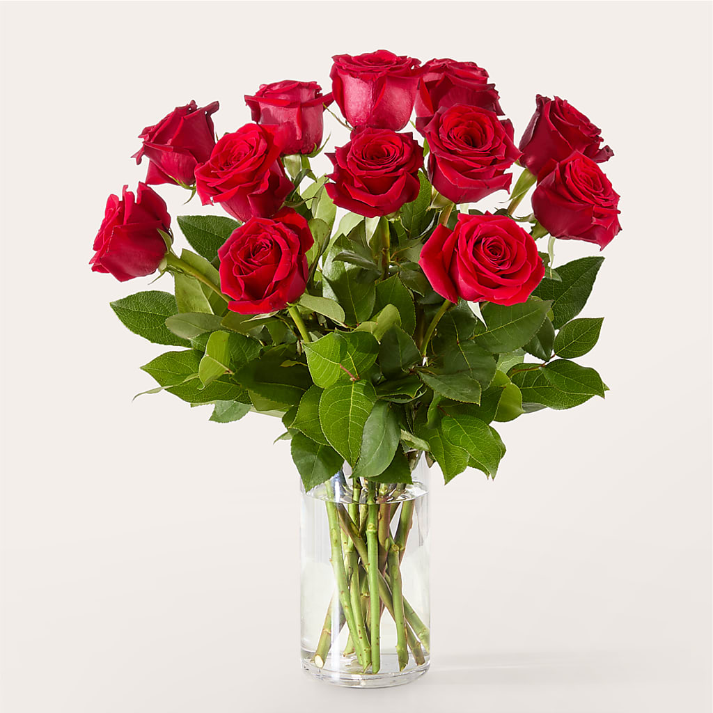 The One Red Rose Bouquet –  The Owls Nest Florist, Clover SC