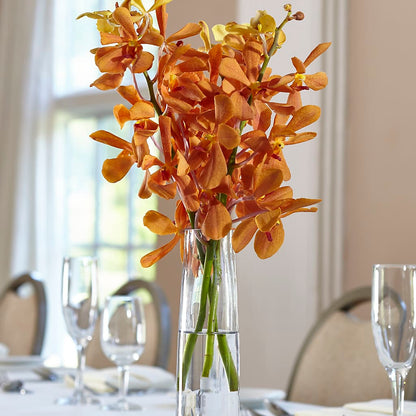 Orange Mokara Bud Vase –  The Owls Nest Florist, Clover SC