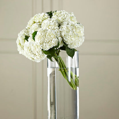 White Hydrangea Hand-Tied Bouquet –  The Owls Nest Florist, Clover SC
