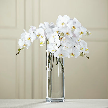 White Phalaenopsis Bouquet –  The Owls Nest Florist, Clover SC