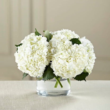 White Hydrangea Bouquet –  The Owls Nest Florist, Clover SC