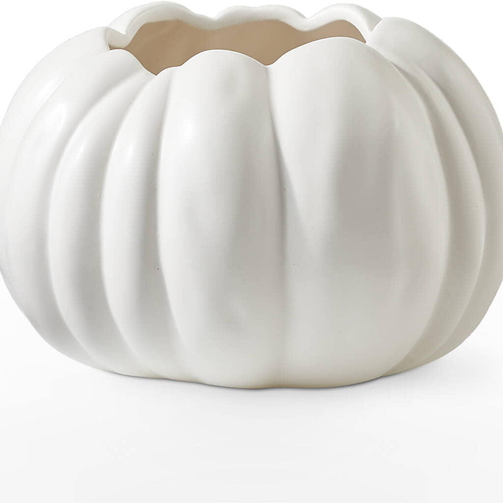 Autumn Air Pumpkin Bouquet –  The Owls Nest Florist, Clover SC
